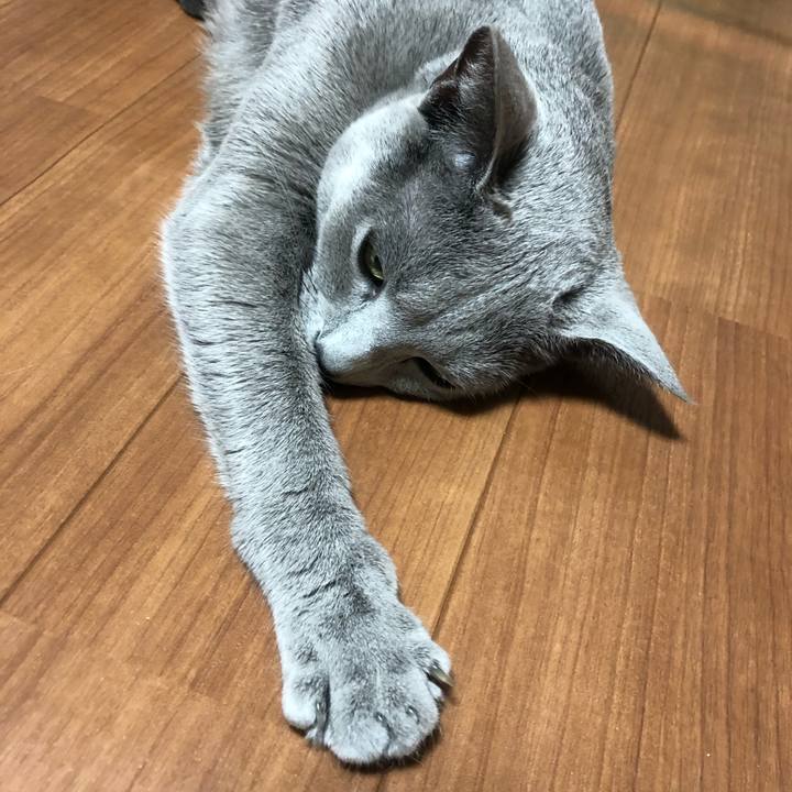 8282becd 02d7 43f7 ab89 68582e7aafd2 1551431841246