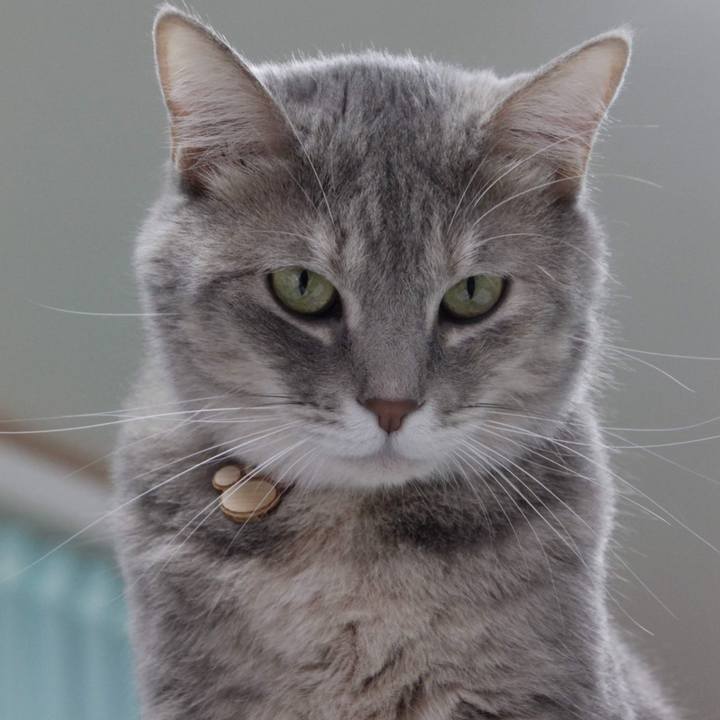 8282fccd fd20 4958 ac27 a6623b09c4fd 1571992080658