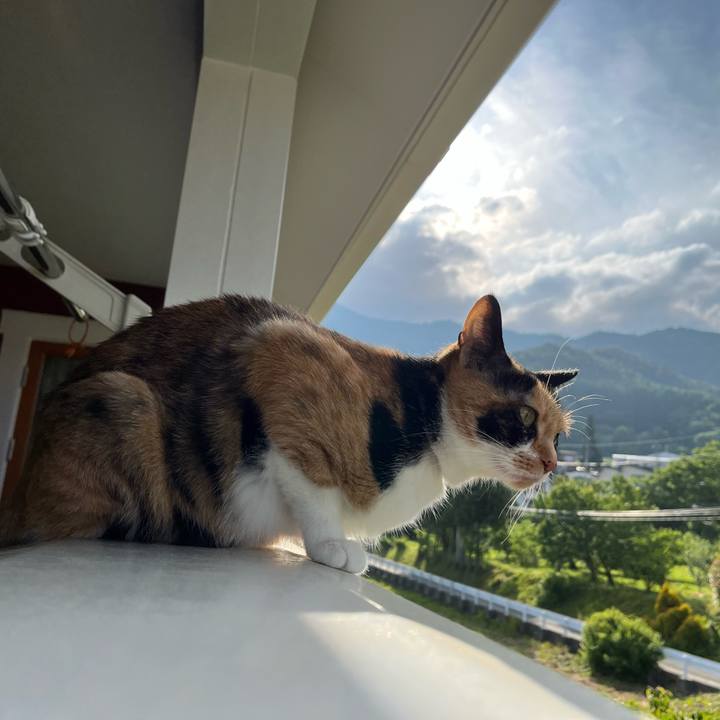 82835738 2826 4f1e 8e8c 0e24268b49fa 1655084013196