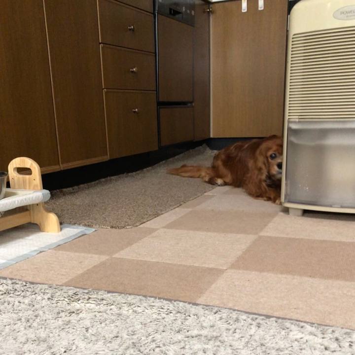 828391c4 b973 47fa 9af7 0ed332ade76c 1648073390179