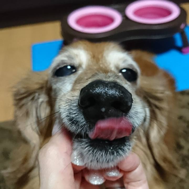 8283df8d 5b83 4978 9c67 1ab238adb65d 1509182053667