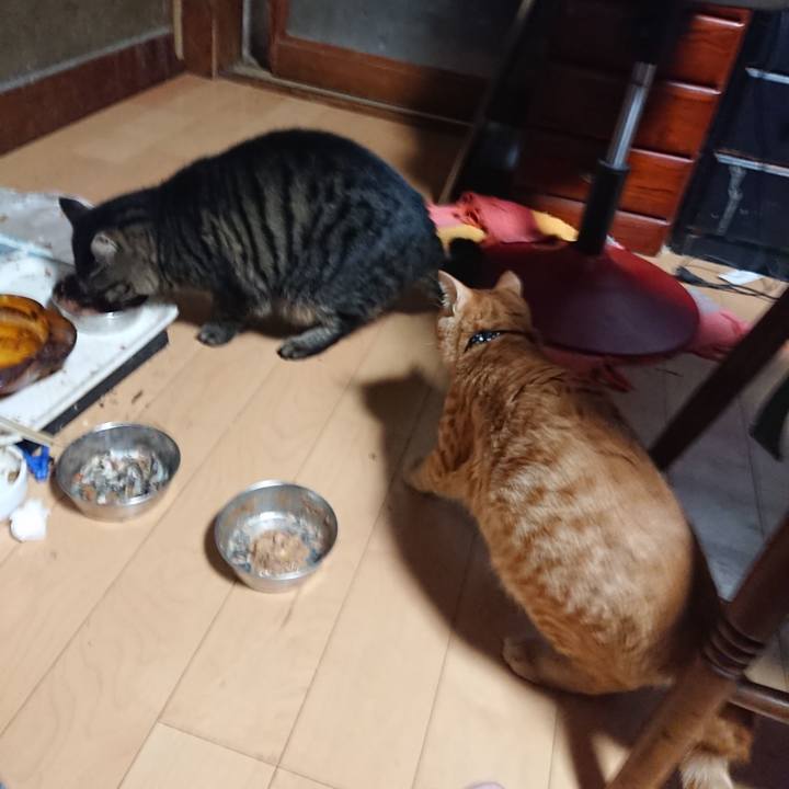 8283ecfe f28d 49bc bf7c cf49fb4bdea5 1637443430033