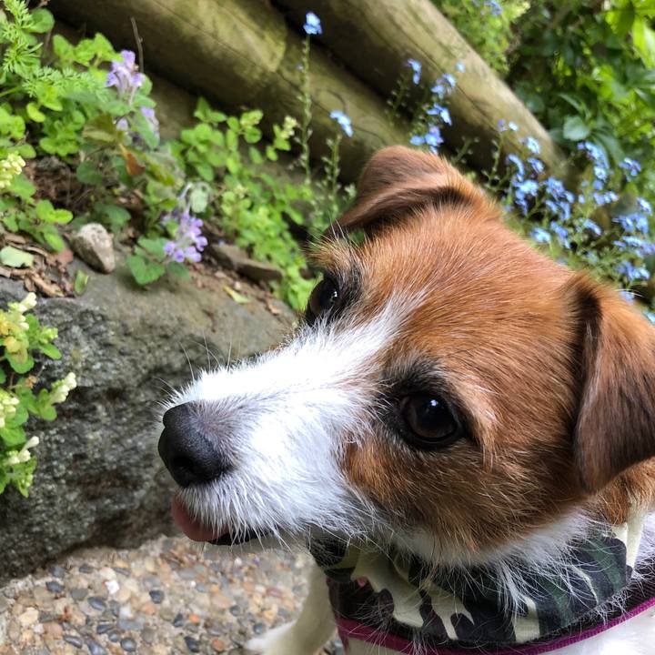 8284145d ad06 4025 b437 be6ae87d8c65 1590882190932