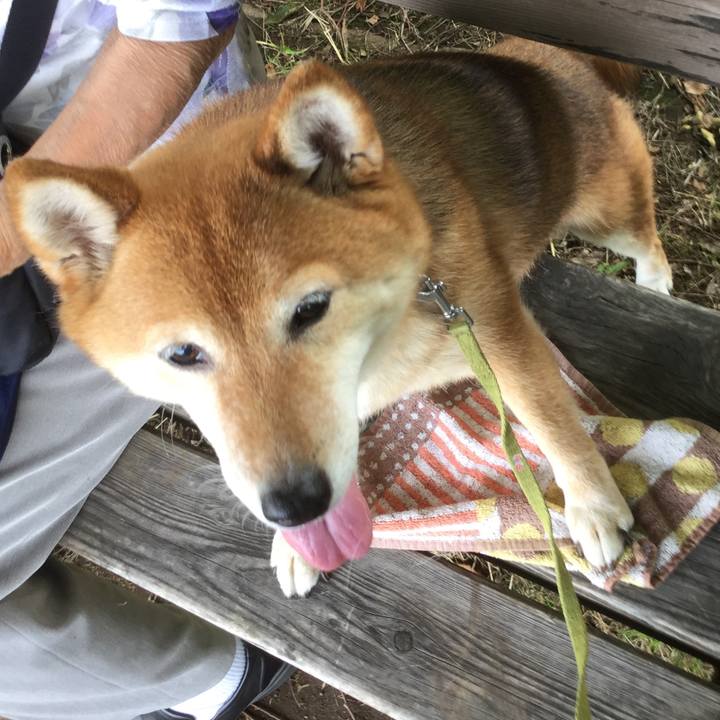 8284245a 3605 4f19 8732 d745ff82f788 1561528410103