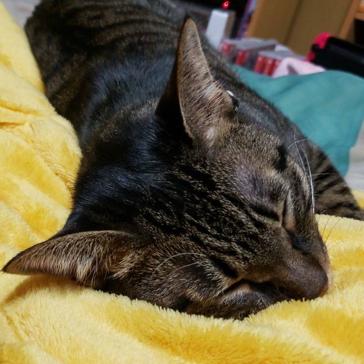 82844c51 13a4 4d38 919a 745b3cb4e5be 1571820659466