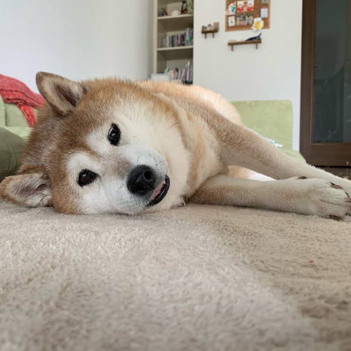 8284896d 1c0a 46dd bdec b99bd3738f7a 1596948250184