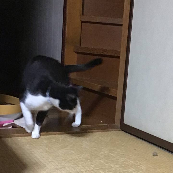 8284a2b2 efd2 4466 aedd e4ec8bf08117 1687438705155