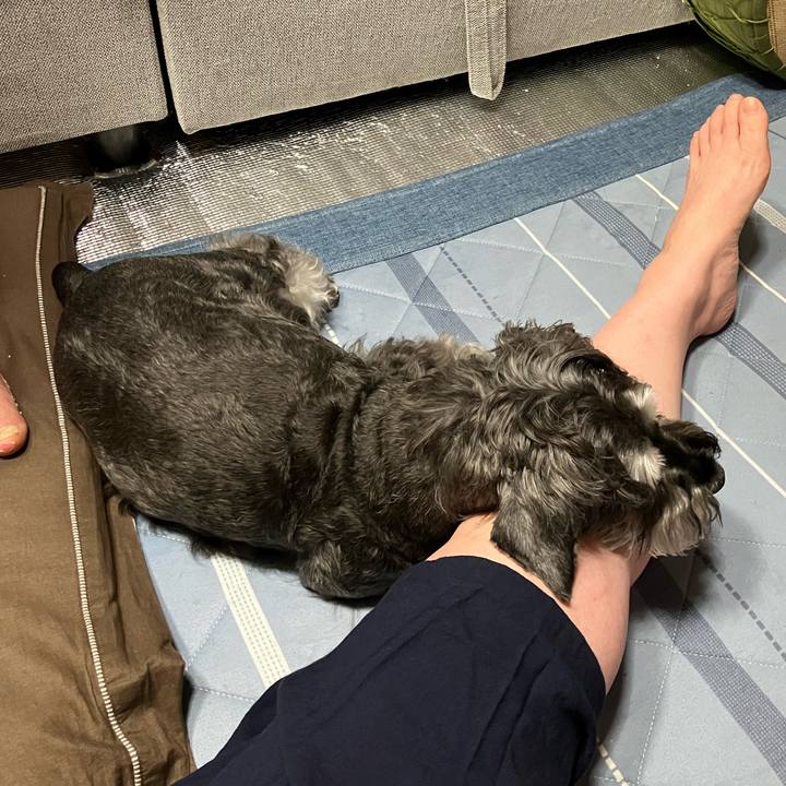 828503cc ccec 4a4f 94b9 143bc94cb920 1720533311249