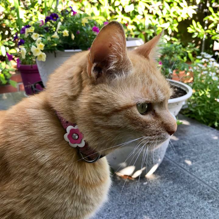 82853390 5dc4 4ce2 86f8 5cafb8754ca5 1525952702328