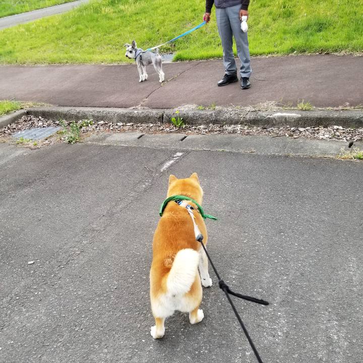 82854839 a138 429a 9cc3 e9757792f8a7 1558337585090