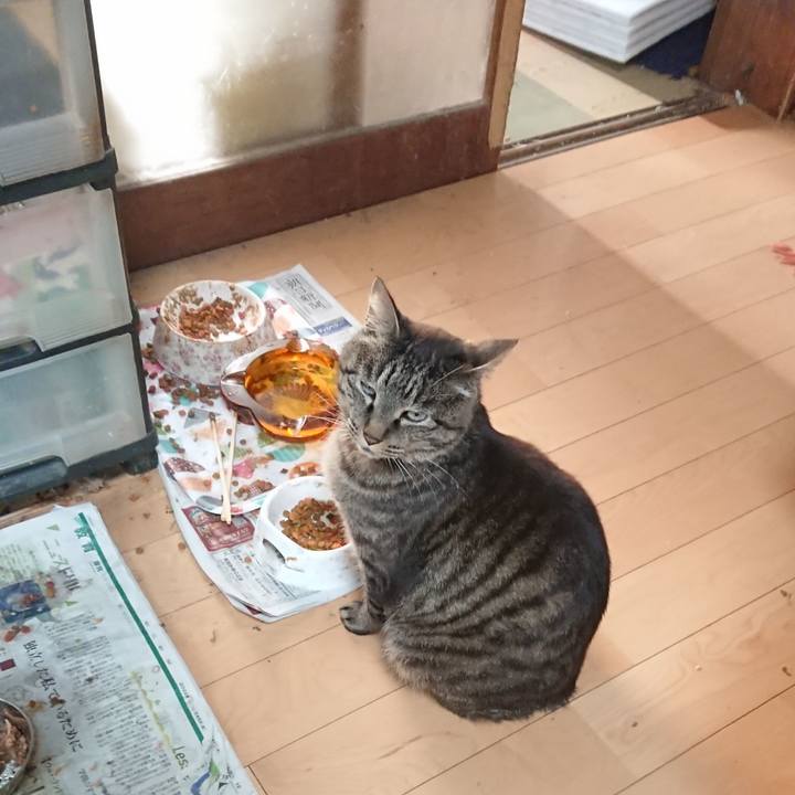 8285cebf aa4b 44f4 bd8f 751cbd2d99df 1655069912222