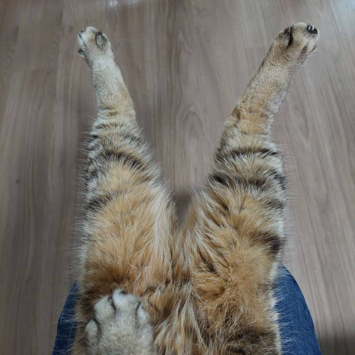 8285e6e3 4dd8 4ad3 8ed1 776bd69c39a3 1729209888961