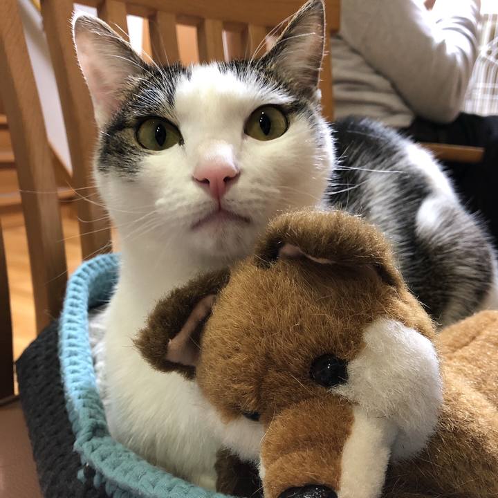 828604e4 a8d7 4377 a52f edaa9c4fd3f0 1618833711404