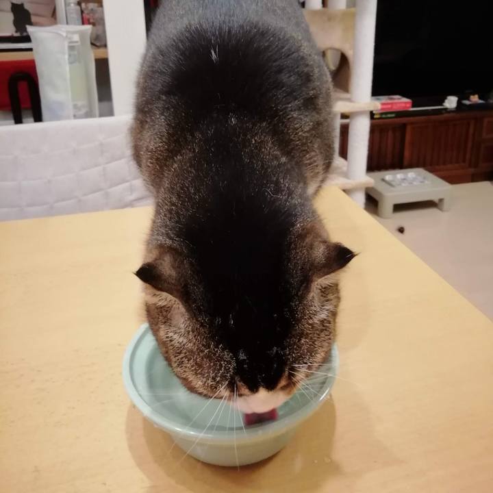 82861503 de89 4643 9093 992a8ac29247 1567208658339