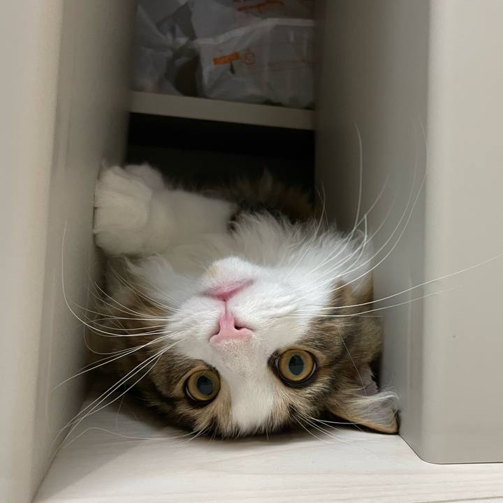 8286346f e89f 473f 868f 2b3427f1d649 1639220652030