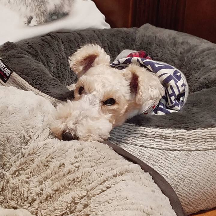 82864521 7891 4667 b0f9 eb0866a1ac6b 1552046027757