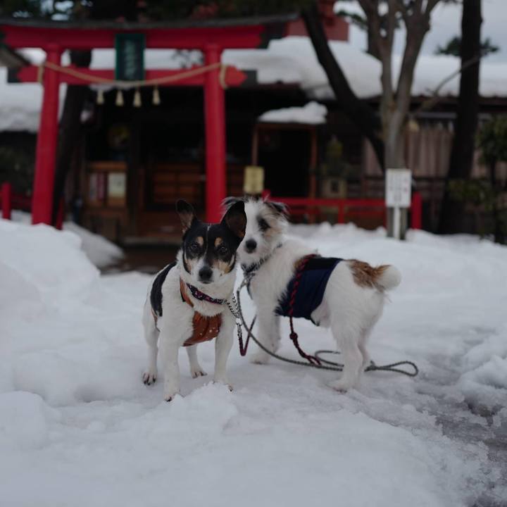 828658b4 30bd 48ab 9fd9 63a33906952f 1610775814338