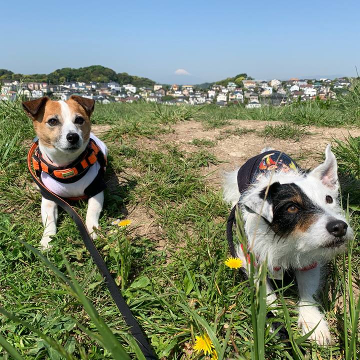 8286674e c9e6 4a01 9a56 b0c59ccd4ad1 1618966318648