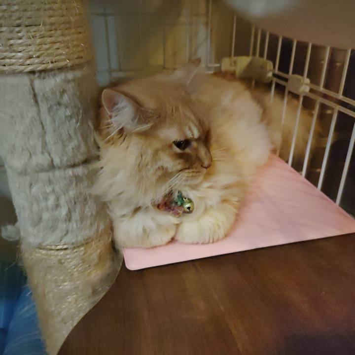 82866daa cd69 42f6 b084 6d0f2f458def 1673957177451