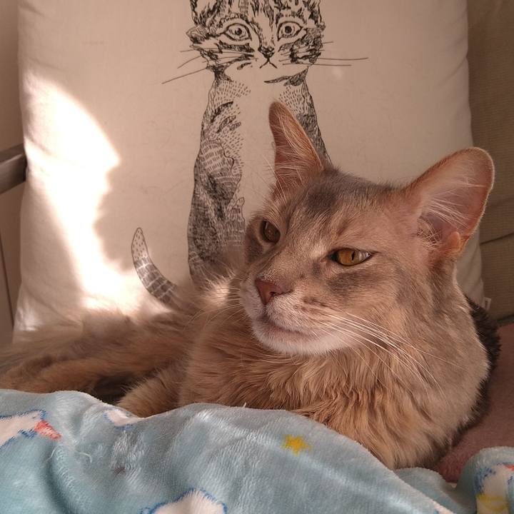 828697da f252 4268 9545 f3b1f48b6d6b 1614864008642