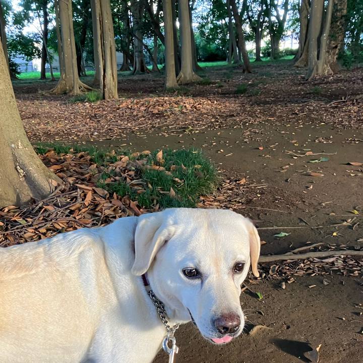 828699cb 3877 4bb2 8fee 75377daa05fa 1661727569570