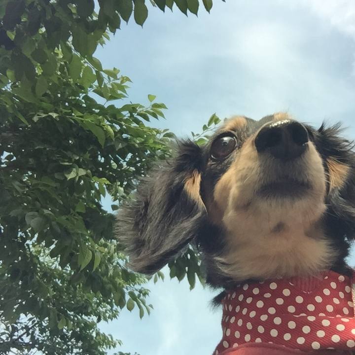 8286a079 a7d7 4656 9dc6 fb5f8809a6d6 1526864595277