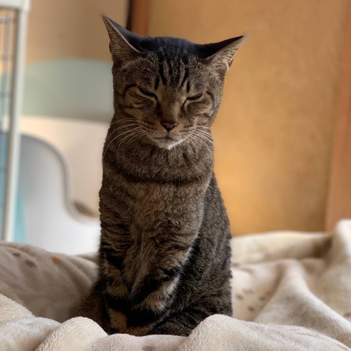 8286ea02 400b 43dd aa76 5878494ee501 1578015983983