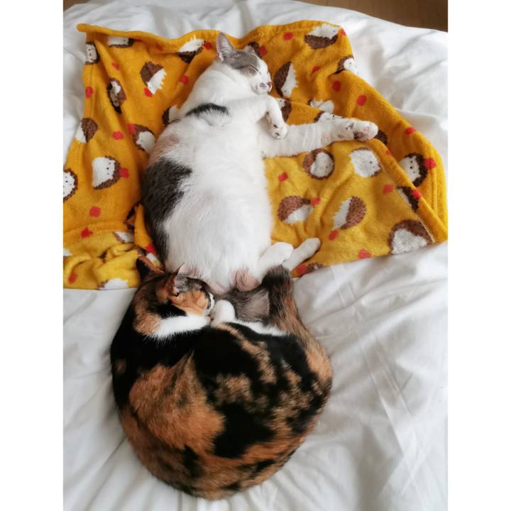 82872e69 423d 4091 8b24 54e4ef8f092e 1637991259590