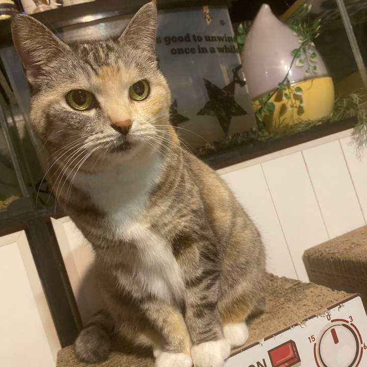 82875151 3e9c 4f1f 835e 4ccc54bbe96c 1702739953196