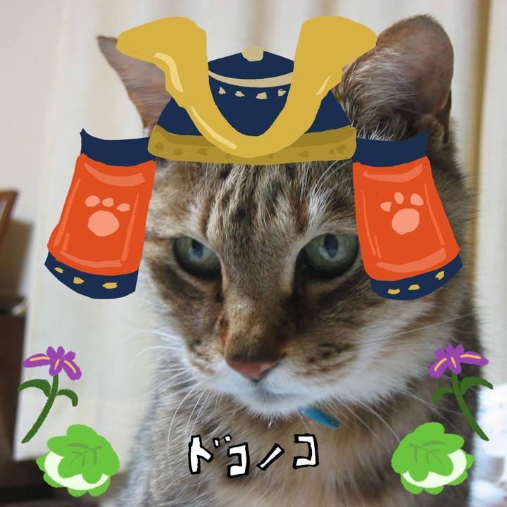 8287aa7d 8a65 4ab6 8559 ceeda45551dd 1714911931064