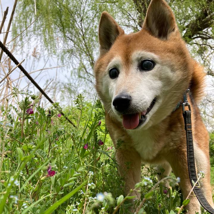 8287ba73 6b99 4848 8df4 b38a4d316a21 1744272180050