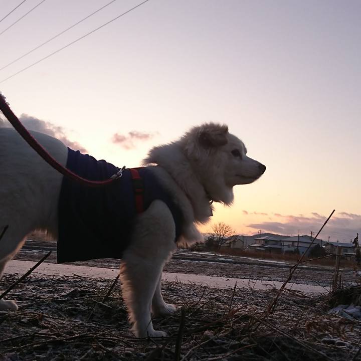 8287c928 c160 4b32 b960 0b8f320f6c6c 1519077174888