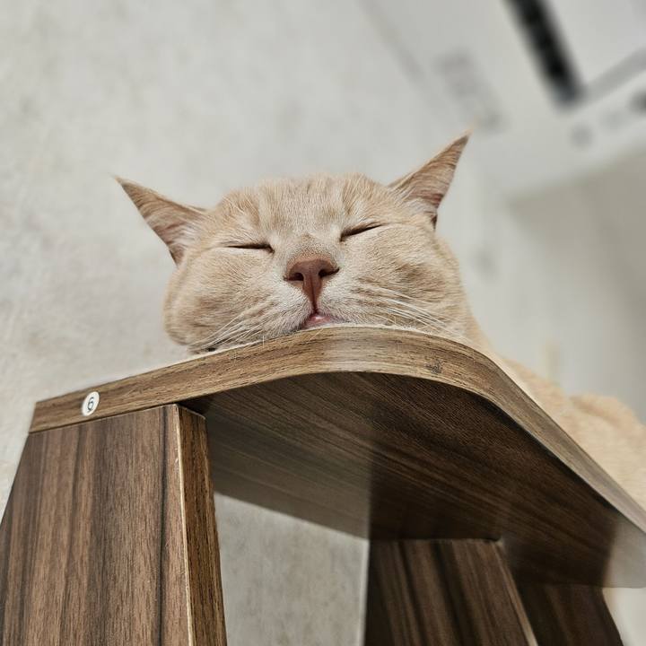 8287e320 c66b 4c9a 844a 72cb269e27e9 1727587319107