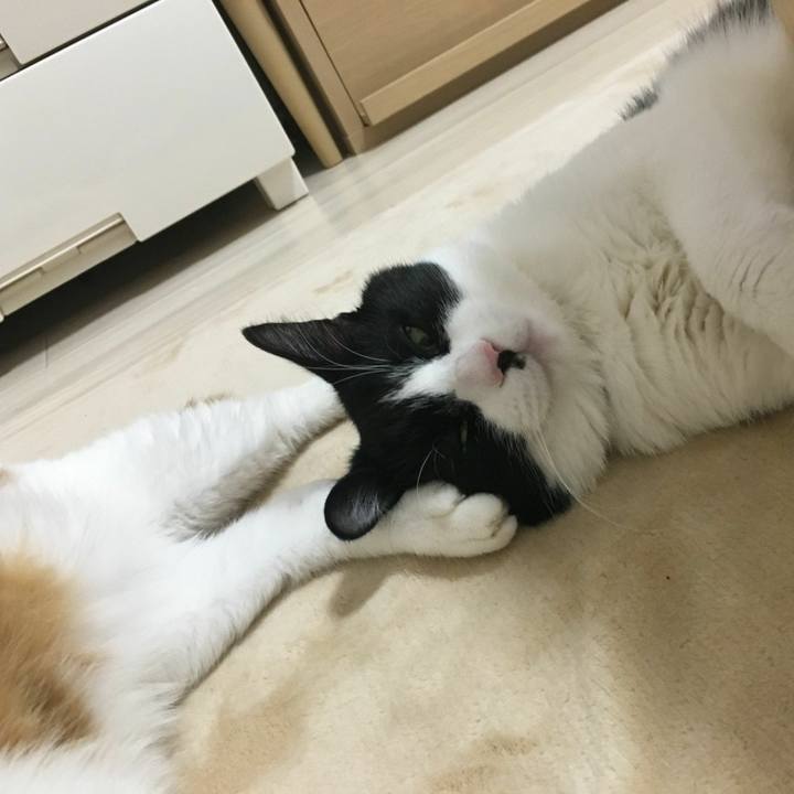 8287eb8c 1f15 4aa6 a4b7 6f0a6c050cb0 1543841346078