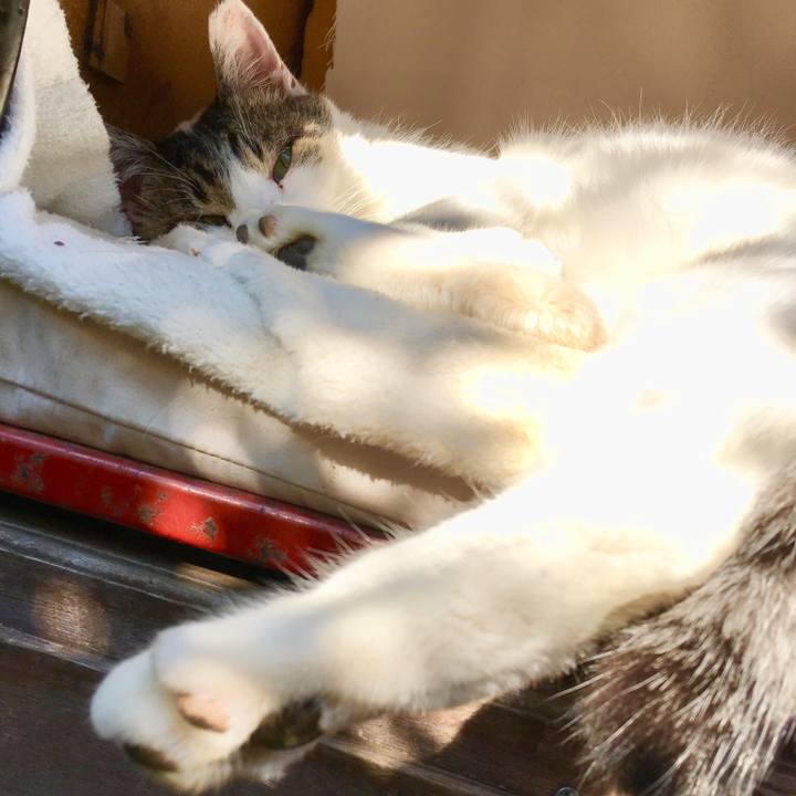 82880439 1736 492a be87 2e693bab804a 1509844348676