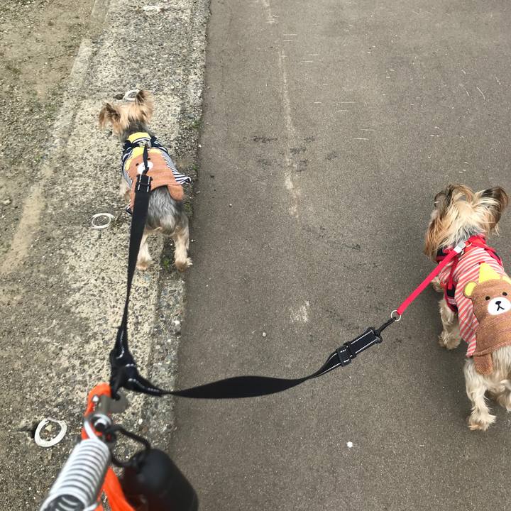 82881131 c2f0 48cd b1f0 ff9e581082c1 1653645150566