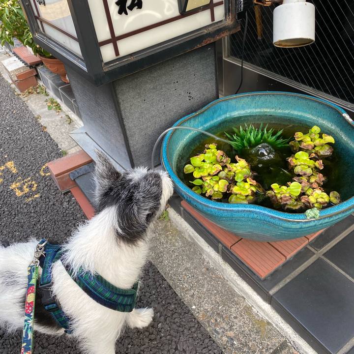 8288d05a 95c6 49fc 8f91 fb4965d11f9c 1597551352752