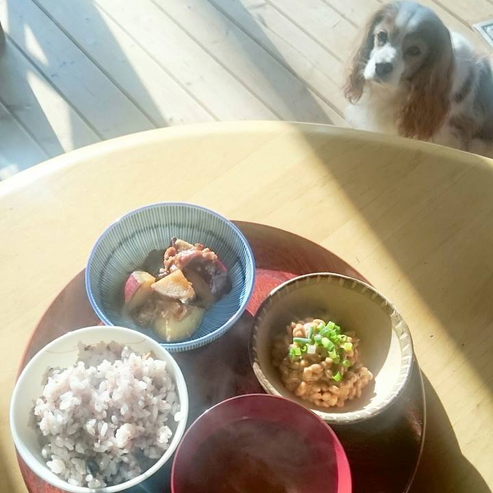 8288d8d2 76c7 4ae3 b9b0 b6dcf2068a55 1520377625351