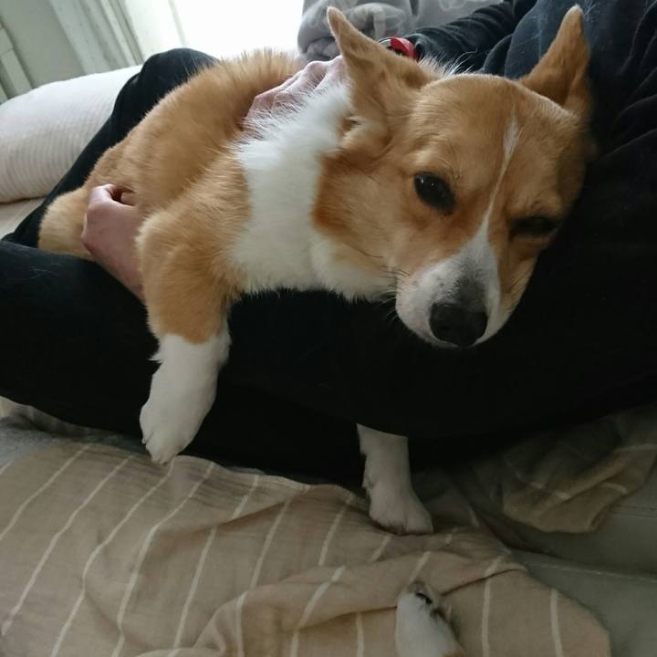 8288e2f8 c258 4496 b4ec 55be5177a4f0 1519440333209