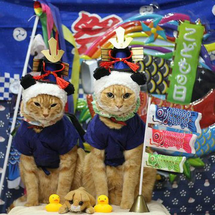 8288f9f5 ef73 4401 bb77 129ad378c6fe 1524238587352