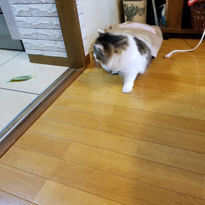 82891106 1ef5 43ba 83c1 16251995ff19 1536111748759