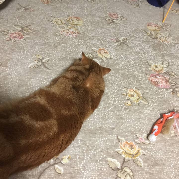 82891470 71d3 4cb8 8c49 270f9be8e259 1596368472057