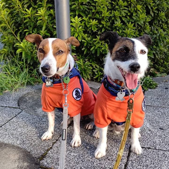 82893330 efbb 4650 b8d3 b5ad32a61199 1627939705251