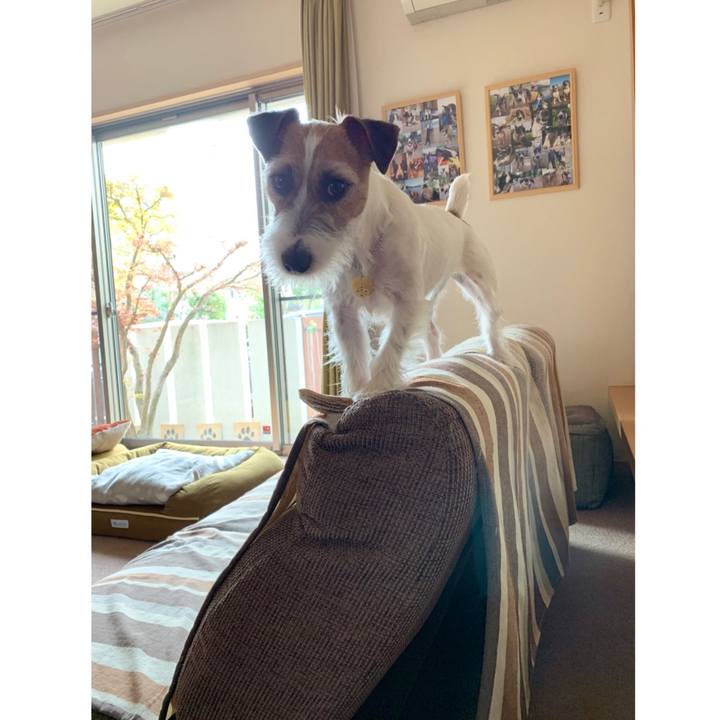 828980d0 8864 4987 8908 1d4dd5bf0eaa 1586219567991