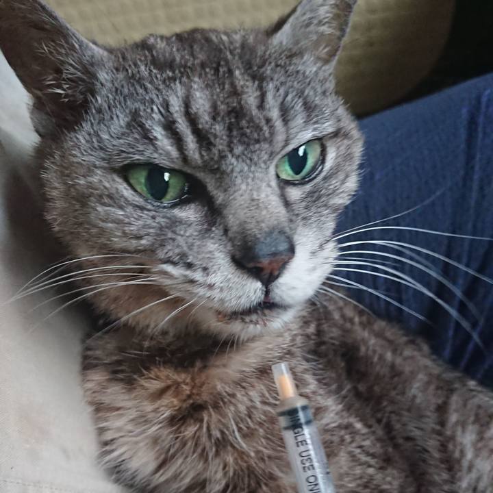 82898c18 c467 4f93 804d 46264121707e 1594158644944