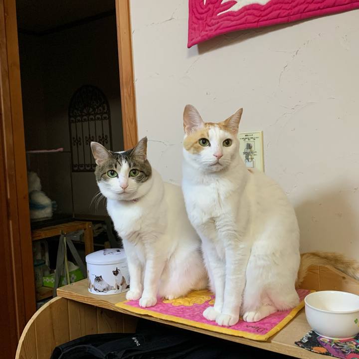 8289b6d2 f5ca 4f00 b918 918320f16a75 1617400395641