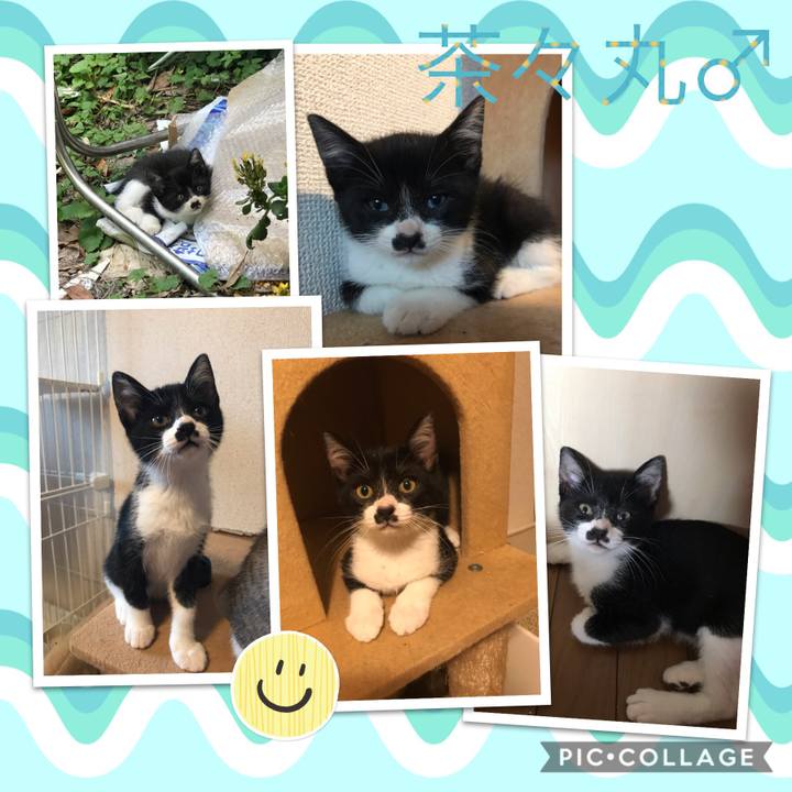 8289d5d2 9813 412b a1cd cb4ea30ecc75 1599479485477