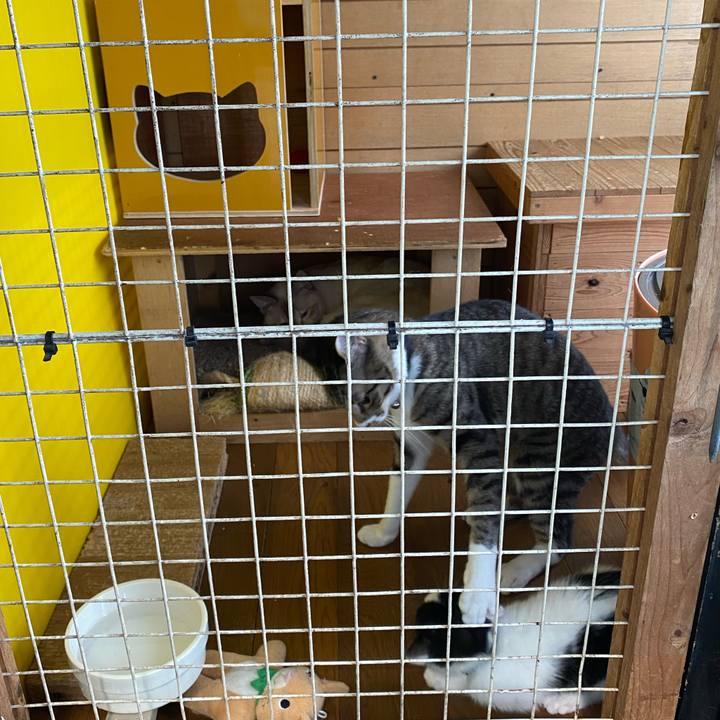 8289dde2 3ce0 45b3 a5e0 155d54140916 1653969421272