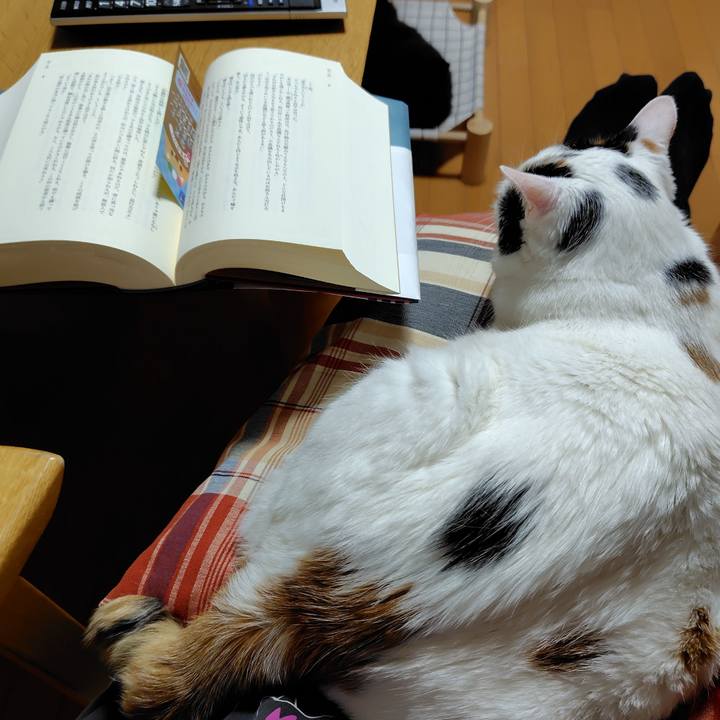 8289f440 bb9d 40c0 8eae 6856d47482da 1718711721794