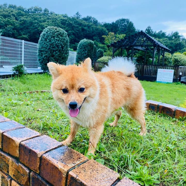 828a636c c68c 4202 98b9 cd128f1619a6 1595034930737